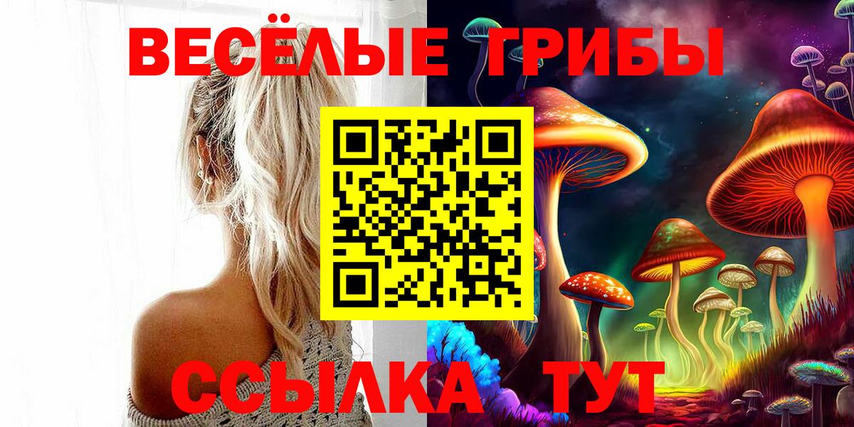 Псилоцибиновые грибы мухоморы Саранск