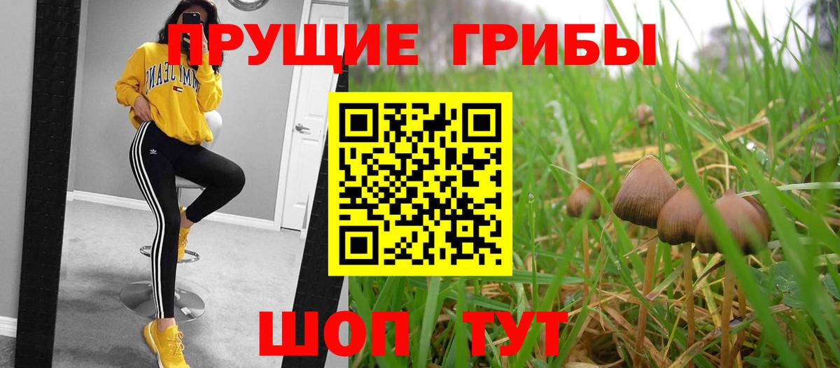 Саранск  Псилоцибиновые грибы прущие грибы  Вход с VPN 